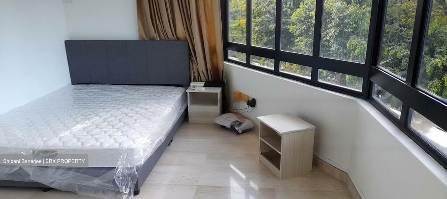 Balmoral Gate (D10), Condominium #482935421